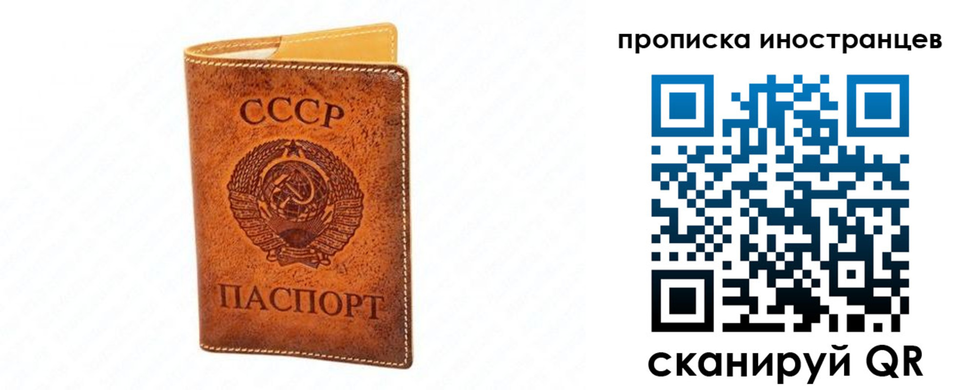 прописка для школы в Галиче
